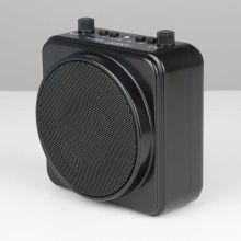 爱课 MR2500 蓝牙扩音器教师便携腰挂小蜜蜂喊话器音响音箱 黑色（单位：个）