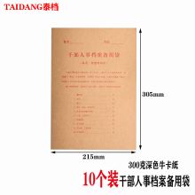 泰档 TD-BYD 干部人事档案备用袋 A4纸质 10个/包 （单位：包）