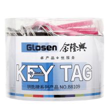 金隆兴 B8109 钥匙管理箱专用钥匙牌 含钥匙扣 50个/盒 混色装 （单位：盒）