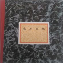 亚兴 261-D 总分类账本（单位：个）