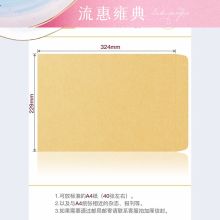 流彗 9号加厚100个 信封 牛皮纸加厚 黄色(单位：个）