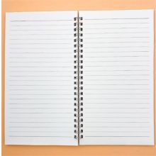 PP面线圈本/天章18218 B5 | Ring Binder