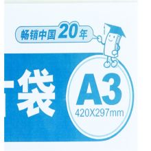 A3PVC硬质卡片袋/装得快A3 | Card Case