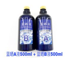 国产 A液500ml+B液500ml 学生用蓝晒液颜料套装 蓝色（单位：套）