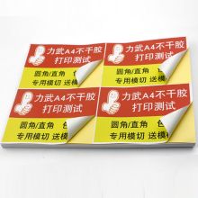力武 A20 内切割 不干胶打印纸a4分切哑面空白小标签 A20（圆角20枚）哑面50张 白色 单位：包