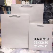 国产 手提纸袋 21*25*11 白色（单位：个）