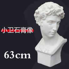 蒂登 美术教具小卫石膏像（单位：个）