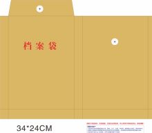 国产 250g 34*34*4cm 进口纸档案袋 黄 （单位：个）