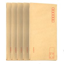 广博 EN-3 80g 110*220mm 5号牛皮纸信封 黄色（单位：个）