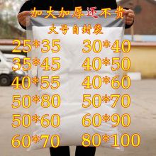 国产/HOMEMADE 900*500*0.1 塑料自封袋 (单位：个)