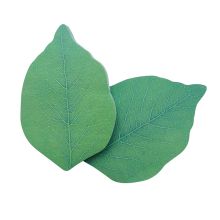 芬尚 wf-blt-092 (单位：包)