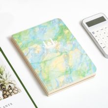 天色（TIANSE） TS-4026 创意手账本 B6 112张 单本装 飘绿色 （单位：套）