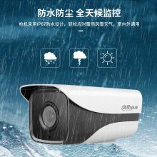 DAHUA/大华 DH-IPC-HFW2233 大华dahua DH-IPC-HFW2233M-I1（单红外灯） 3.6mm 镜头200万poe供电星光级夜视H265存储高清安防监控摄像头 （单位：台） (单位：台)