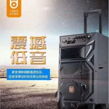 贝德 BD-1271 音响（含两个话筒）(单位：台)