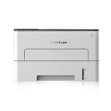 奔图（PANTUM）P3019DW 黑白激光打印机 单位：台