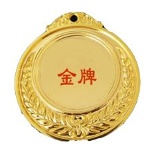 国产 大号LOGO定做 奖牌 金色(单位：个）