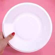 国产 QT-813 9寸 直径23cm 纯色纸盘 白色 (50个/包)（单位：包）