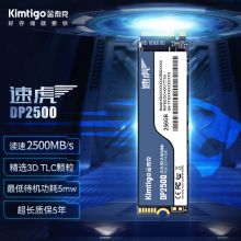 金泰克 DP2500 256GB SSD固态硬盘 M.2接口 四通道PCIe 高速 （单位：个）