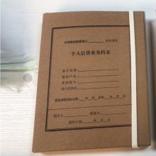 国产 定制个人信贷业务档案盒 31cm*23cm*3cm （单位：个）