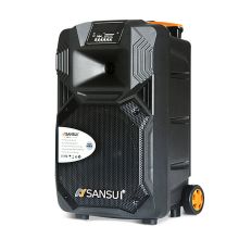 山水（sansui） SS1-10 广场舞音响 蓝牙拉杆音箱 户外便携式音响 大功率带无线麦克风扩音器（单位：套）