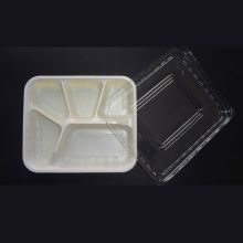 国产 QT-567 5格 塑料一次性饭盒 (50个/提)（单位：提）