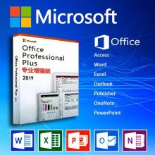 微软 正版office2019专业版小型企业版 提供上门安装服务（单位：套）