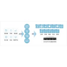 深信服 P-2005 128GSSD*2/480GSSD*2/4Tsata*4 万兆网口 硬盘 超融合存储一体机 3年服务（单位：台）