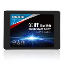 金胜 E300 SATA Ⅲ 256G 固态硬盘（单位：个）