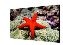 海康威视 DS-D2055NL-E/G 1.8mm LCD拼接屏 黑色（单位：台）