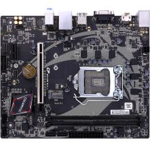 七彩虹 战斧H310M-M.2魔音版 V21 主板 支持9100F/9400F（Intel H310/LGA 1151） 黑色 (单位：个）
