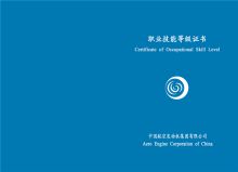 新艺 彩色防伪 285*205 资格证书 配色(单位：张)