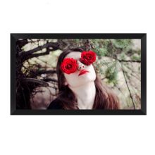 红叶（Redleaf）100寸16：9画框幕3D荧光白软幕 高清显示家用幕布 植绒边框（单位：个）
