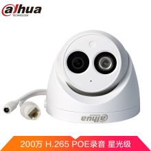 大华 DH-IPC-HDW2233C-A 焦距3.6MM 200万星光级网络摄像头（单位：个）