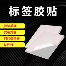 揽盈 250mm*180mm 标签 胶贴 1.00 盒/张 (计价单位：张) 白色
