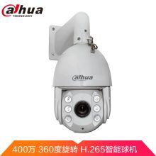 大华 DH-SD6C84FX-GN 400万网络高速球机摄像头 白色（单位：个）