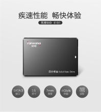 梵想 S101系列 256G SSD固态硬盘 SATA3.0接口 灰色 （单位：个）