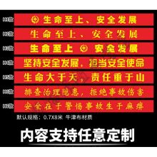 国产 宣传条幅 标语大字横幅 70cm*7m 红色（单位：条）