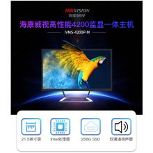 海康威视（HIKVISION）iVMS-4200P-M监显一体主机 i5/8G/256G/21.5 英寸全高清LCD 显示屏1080P 标配高性能4200软件 黑色 (单位:台)