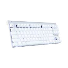 樱桃 CHERRY MX8.0 G80-3880HYAEU-0 背光游戏机械键盘 白色 红轴 