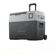 冰虎 30L 车载冰箱 压缩机制冷车家两用 冷冻冷藏迷你小冰箱 便捷拉杆箱可达-20℃（单位：台）