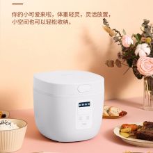 康佳 KRC-RS25 电饭煲（单位：个）