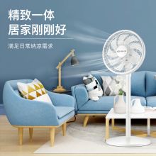 先锋 DLD-D17 机械式 立式落地摇头大风力台式电扇 白色（单位：台）