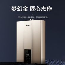 海尔 JSQ31-16WJS2(12T) 16升 燃气热水器 香槟色（单位：台）