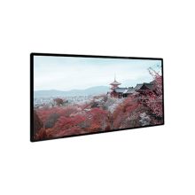 甬天派 TOPIT-T19BRA055-1 壁挂式55寸 广告机 (计价单位：台) 黑色