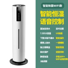 国产 H-560立式大容量除菌加湿器 典雅白旗舰款（单位：台）