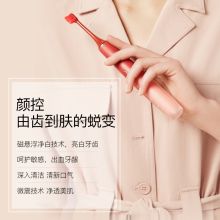 罗曼 T40 小心机电动牙刷（冰雾桃、相遇紫、墨雾黑）（单位：支）