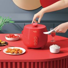 乐扣乐扣 EJR1747RED 电饭煲 红色（单位：个）