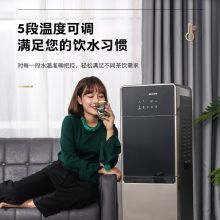 艾美特 YDF219 饮水机家用立式过滤器冷热直饮机RO净水器加热直饮净饮一体机净水机冰温热款（单位：台）