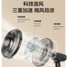 美的 SAF35ER 电风扇家用落地扇（单位：个）