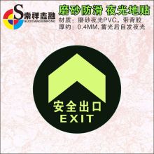国产 DT32 夜光安全地贴 圆导示 19.5x19.5cm（单位：张）